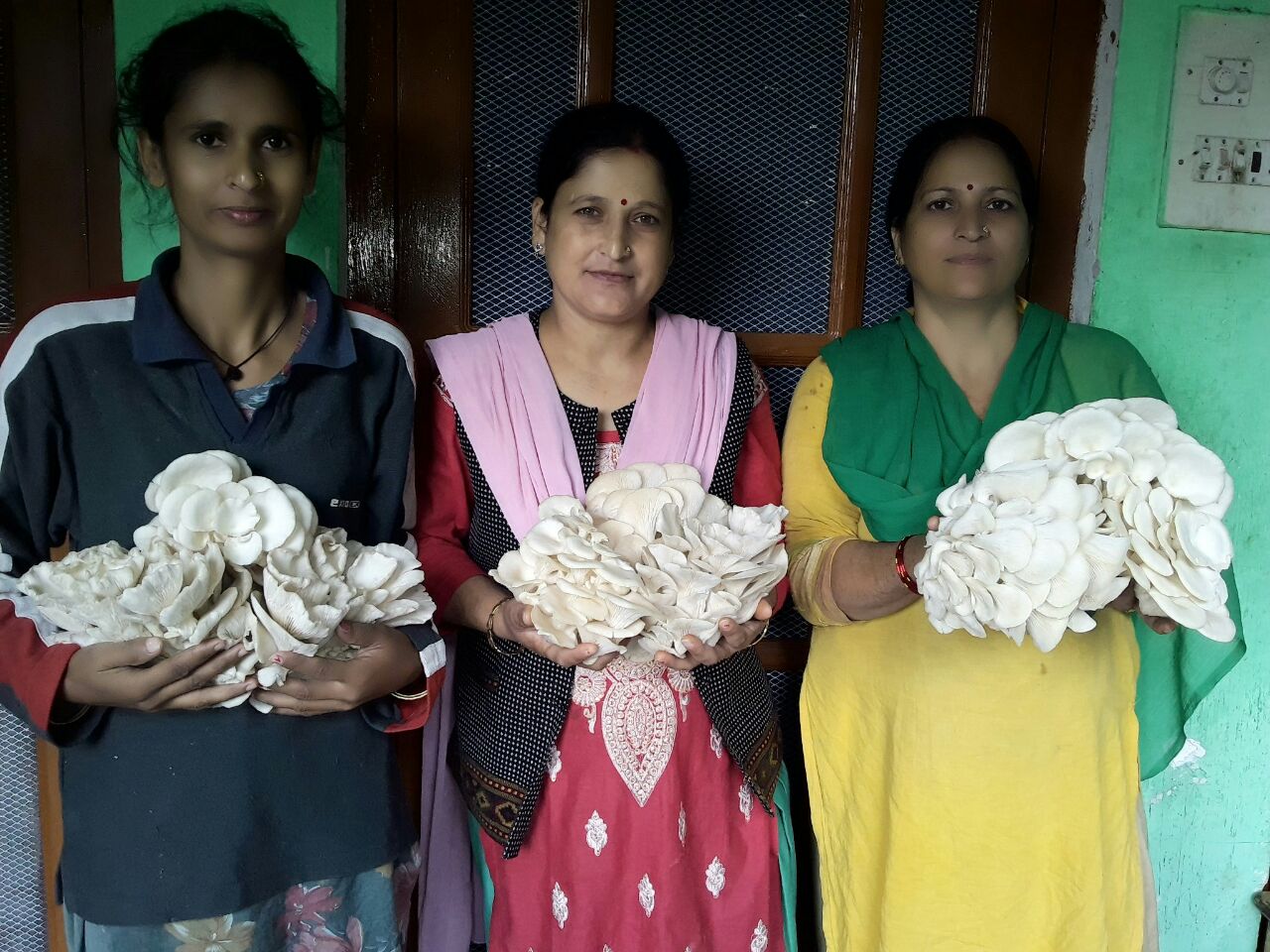 Livelihood group